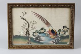 A FINE 19TH CENTURY CHINESE RICE PAPER PAINTING OF A BIRD. 33cms x 23cms.
