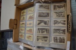 A box of cigarette cards in sleeves.