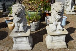 A pair of garden ornaments modelled as seated lions on pedestal bases.
