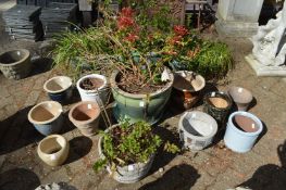 Quantity of garden pots, some containing shrubs.