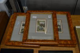 A set of five colour prints depicting cities of America, uniformly framed and glazed.