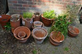 Quantity of terracotta plant pots etc.