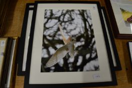 Three photographic prints.