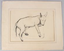 CIRCLE OF K F BARKER Staffordshire Bull Terrier on a cushion charcoal unframed 23 x 29cm