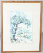 SUSAN HAWKER RWS (b.1949) 'Cork Oak Les Landes' watercolour signed with initials dated '89