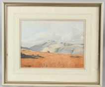 DOUGLAS BOWER 'Great Gable from Thorneythwaite Fell' watercolour signed 22 x 30cm