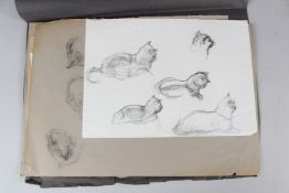 MID 20TH CENTURY SCHOOL Cat and dogs collection of charcoal drawings unframed various sizes (9)