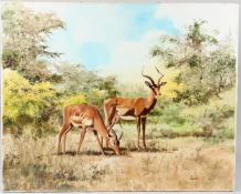 BRYNN Antelopes grazing in the bush oil on canvas signed unframed 61.5 x 76cm