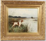 JEAN CHIFFONY Pointer hound in a reedbed oil on canvas signed 36.5 x 43.5cm