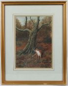 JEREMY PAUL (1954) Fox in a woodland glade watercolour signed 29.5 x 21cm