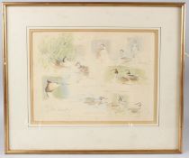 PETER PARTINGTON (1941-2025) Great Crested Grebe studies watercolour signed and annotated 26 x 35.