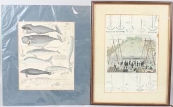 ILLUSTRATED LONDON NEWS (MID 19TH CENTURY) 'Trial of Anchors at the Royal Dockyard Sheerness' and