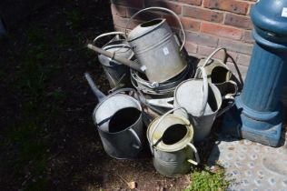 Quantity of galvanised watering cans and buckets.