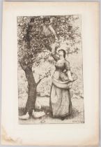 THOMAS RILEY (1856-1892) Gathering Apples etching signed and dated 1882 in the print unframed 26 x