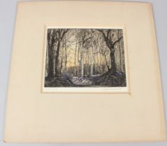 ARTHUR HENRY KNIGHTON-HAMMOND (1875-1970) ''Dawn Early Spring in a Suffolk Wood' coloured etching,