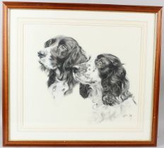 ANNETTE OLNEY Heads of two spaniels charcoal and crayon signed and dated '94 44.5 x 51cm