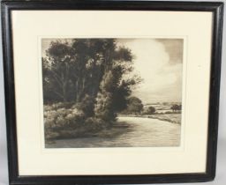 HERBERT THOMAS DICKSEE (1862-1942) Bend in the river etching signed and blindstamped 40 x 50cm