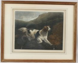 AFTER HENRY QUILLEY 'A Favourite Setter' hand coloured mezzotint 32.5 x 41cm image
