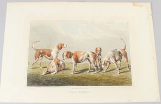 AFTER HENRY ALKEN (1756-1815) 'Stag Hounds' engraved by I CLARK published by T McLean unframed 19.