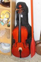 A cello in a case.