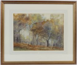 ELMA NORTHEY (1876-1967) 'A Birchwood' watercolour signed 27 x 37cm