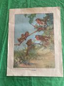 Print; K.Nixon ' Robins', 41 x 52cm.