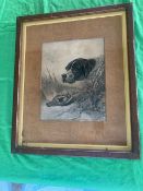 Print; gun dog, framed, 51 x 43cm.
