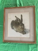 Print; Hare, framed, 35 x 32cm.