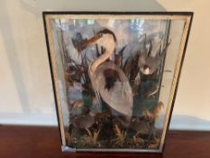 A large early 20th century taxidermy presentation case containing Heron, Kingfisher, Sandlark,