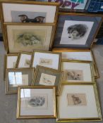 A quantity of assorted framed prints of dogs.