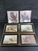 Six framed wildlife prints