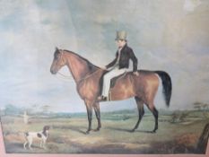 Print, Portrait of a Gentleman on a Bay Hunter framed and glazed sight size 47.