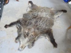 A boar hide rug