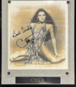CHER: Signed photograph under perspex and mounted to wooden board Framed size approximately: 32x26cm