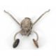 A Victorian skirt lifter, 12.5cm long - Image 2 of 3