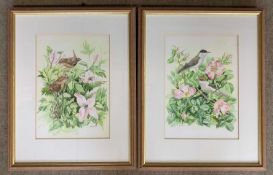 Frank Jarvis (British, 20th century), Wrens perched tin the flowers stems and Blackcaps in the