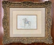 Henry Thomas Alken (1785-1851), Arab on horse back, pencil and watercolour, signed,12x17cm, framed