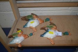 Three Beswick ware ducks no's 5963,5964,5962