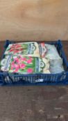 Crate of 12 mixed Summer flowering bulbs