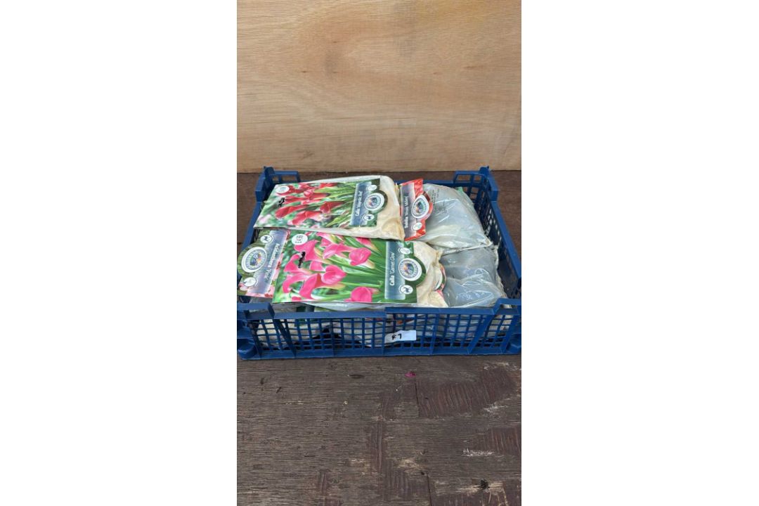 Crate of 12 mixed Summer flowering bulbs