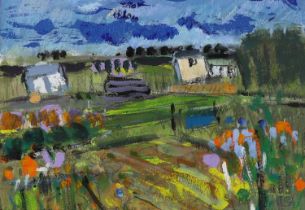 Rosemary Carruthers (British, b.1943) - Southwald Allotments, pencil, pastel and acrylic on paper,