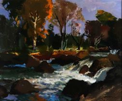 § Donald McIntyre (British, 1923-2009) - Woodland Stream, acrylic, signed 'D MCINTYRE' lower
