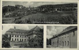 Ansichtskarte "Sommerfrische Molsberg, Westerwald" gelaufen 1954