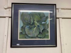 Framed picture, cabbage leaves signed Sheila Dysoe