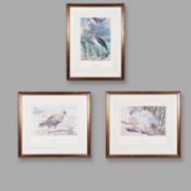 AFTER THOMAS BAINES (BRITISH 1820-1875). THREE PRINTS OF BIRDS (3).