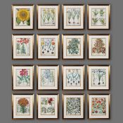 SET OF SIXTEEN BOTANICAL PRINTS (16).