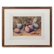 WILLIAM B HOUGH (1819-1897). STILL LIFE WITH PLUMS AND HAZELNUTS.