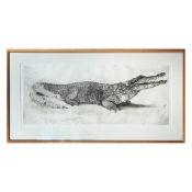 SANDRA BAXTER. CROCODILE.