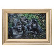 JOEL KIRK. NEXT GENERATION (GORILLAS). (d)