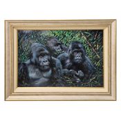 JOEL KIRK. NEXT GENERATION (GORILLAS). (d)